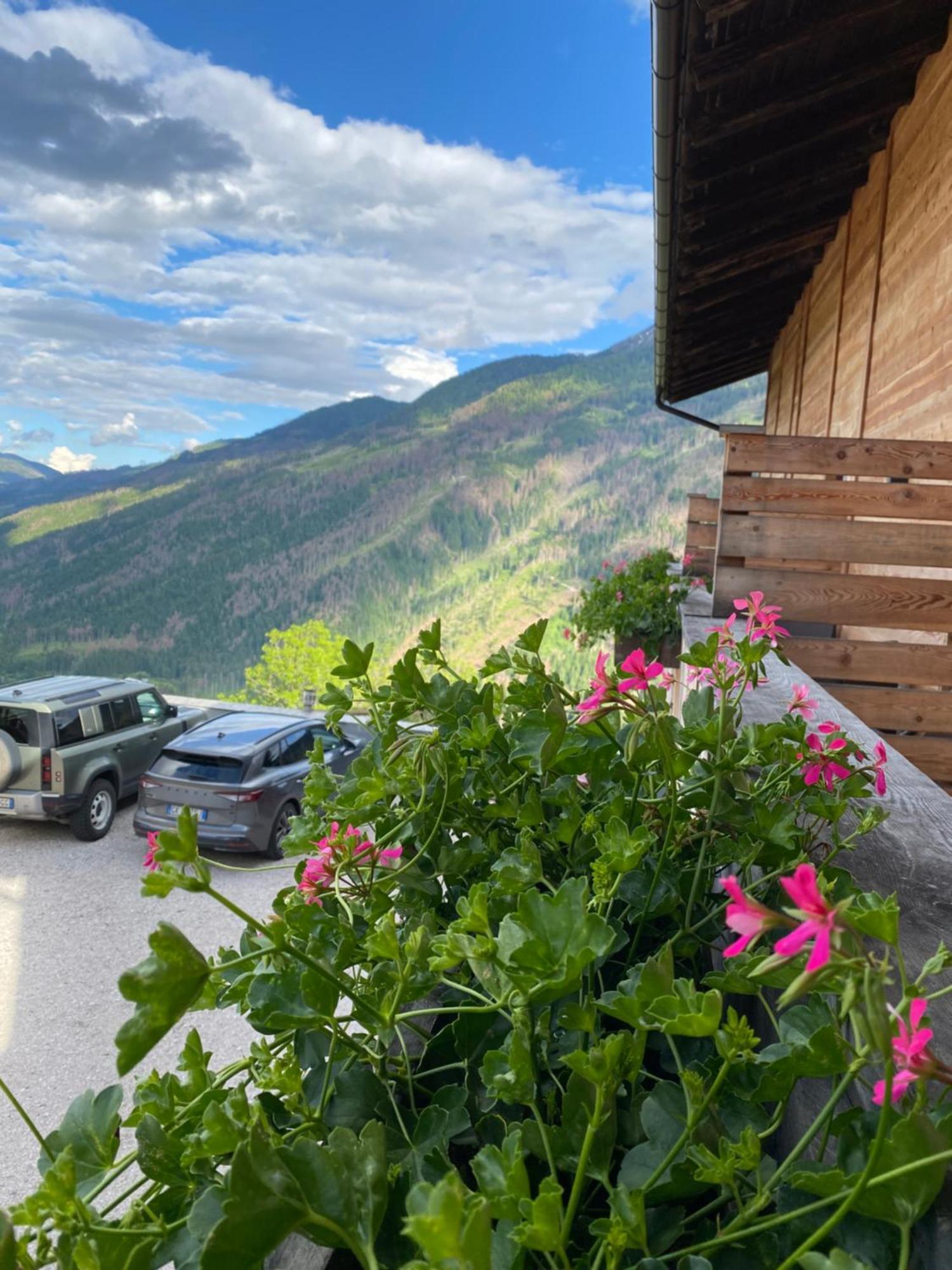 Hotel Almhof Innichen Exteriör bild