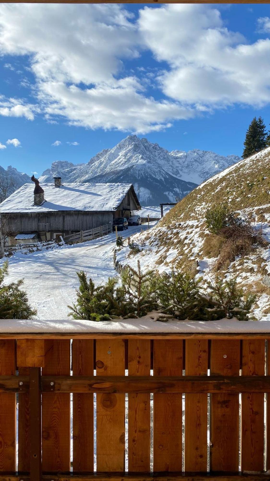 Hotel Almhof Innichen Exteriör bild